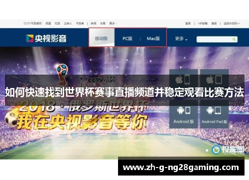 如何快速找到世界杯赛事直播频道并稳定观看比赛方法