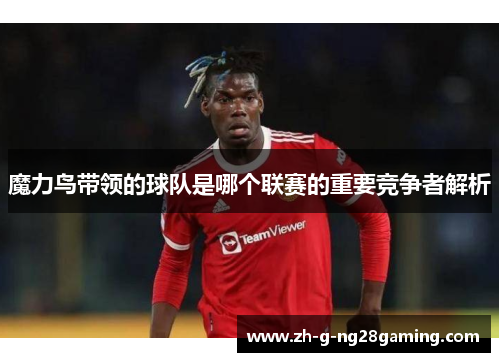 魔力鸟带领的球队是哪个联赛的重要竞争者解析
